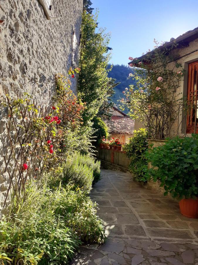 Albergo La Baita Corfino Dış mekan fotoğraf